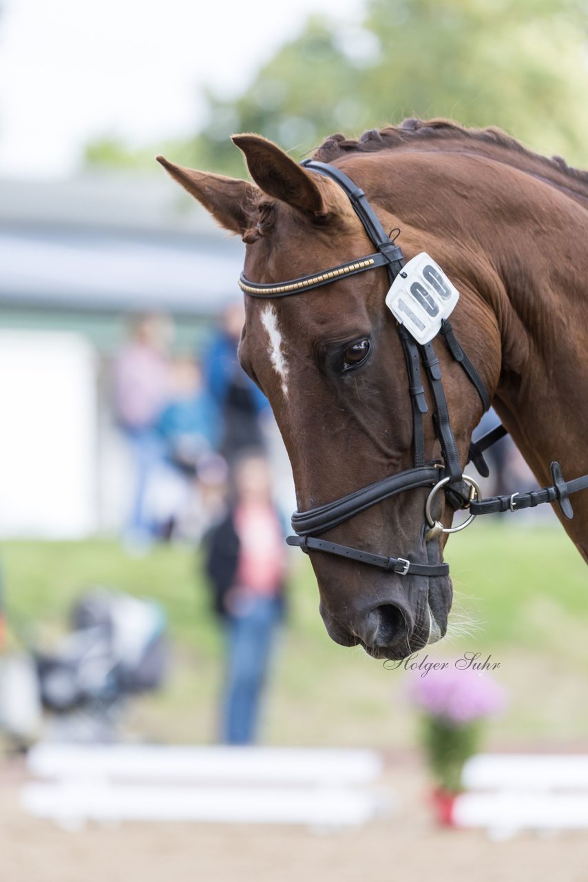 Bild 313 - Pony Akademie Turnier